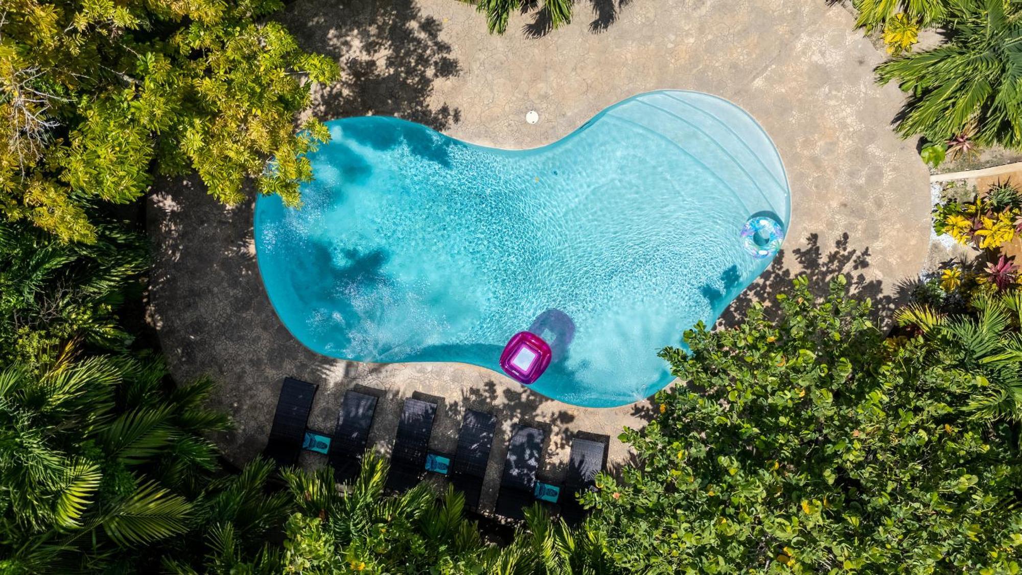 Island Gardens Family Escape, Pool & Car Included Nassau